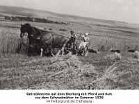 l12 - Getreideernte auf dem Bierberg im Sommer 1939 - 02
